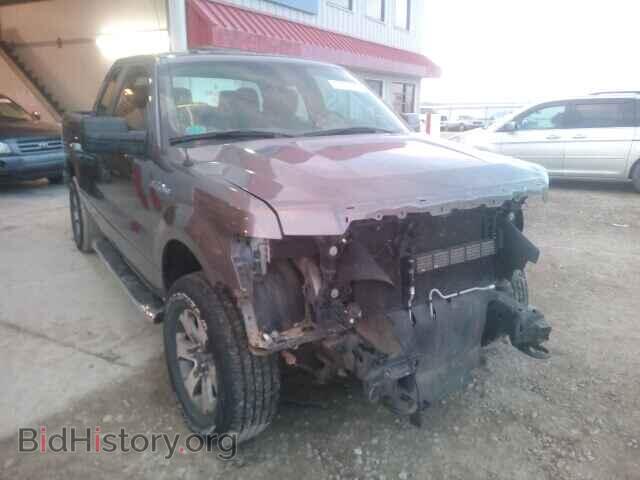 Фотография 1FTFX1EF7DFD11002 - FORD F150 2013