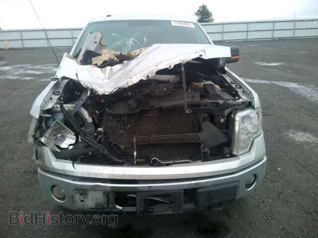 2013 FORD F150 - VIN: 1FTFX1EF6DKF72239 - Фото 9