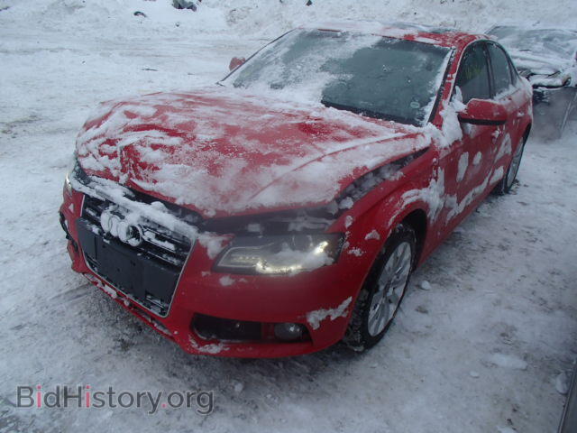 2010 AUDI A4 - VIN: WAUFFAFL0AN067313 - Фото 2