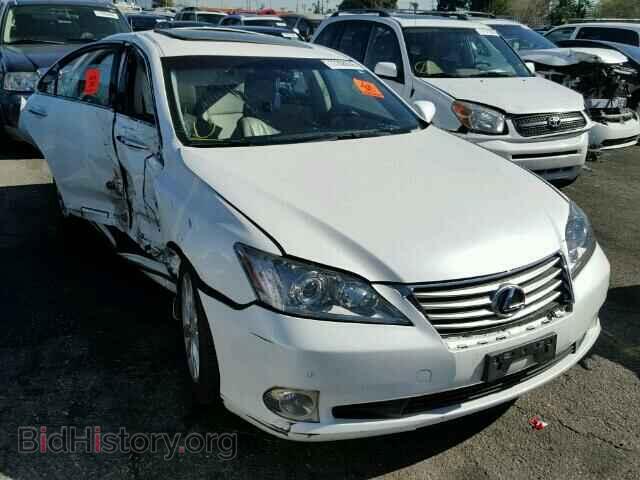 Фотография JTHBK1EG8B2442531 - LEXUS ES350 2011