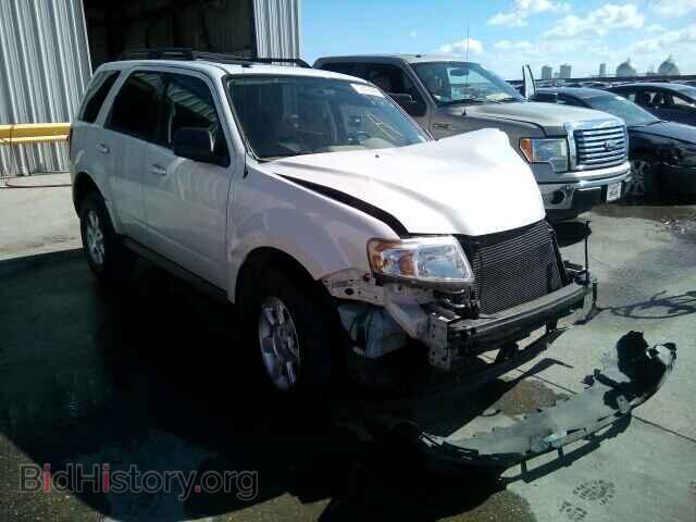 Фотография 4F2CZ02719KM06206 - MAZDA TRIBUTE 2009