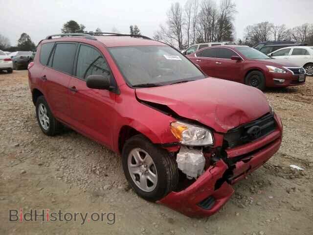 Фотография 2T3BF4DV4CW253438 - TOYOTA RAV4 2012