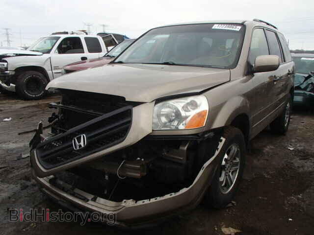 2005 HONDA PILOT - VIN: 2HKYF18475H501573 - Фото 2