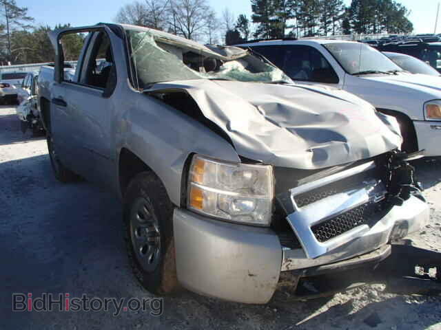 Фотография 1GCEC14C38Z180556 - CHEVROLET SILVERADO 2008