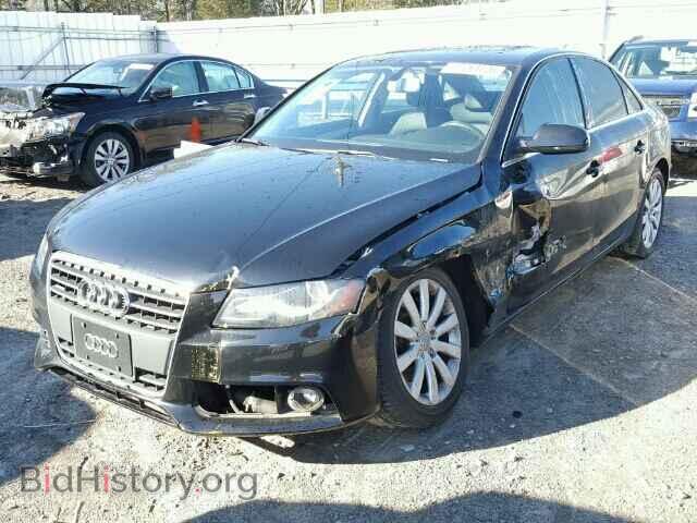 2010 AUDI A4 - VIN: WAUHFAFL1AN015360 - Фото 2