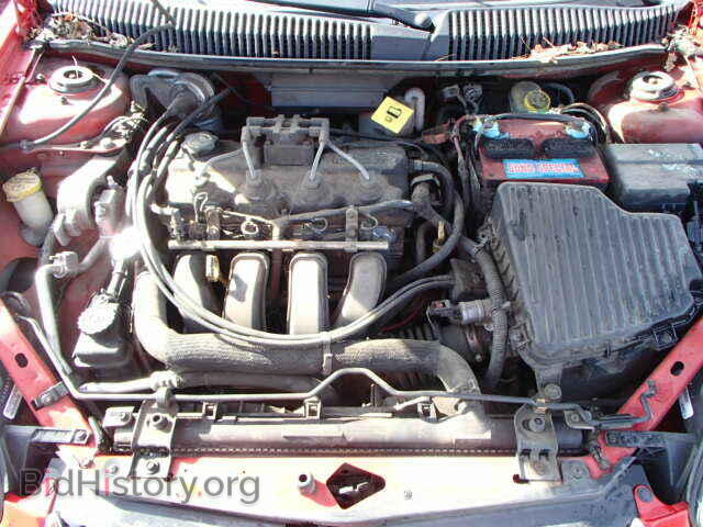 2004 DODGE NEON - VIN: 1B3ES56CX4D603360 - Фото 7