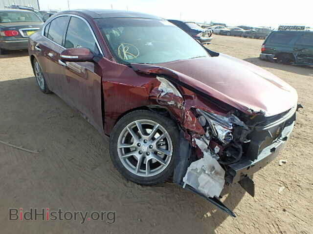 Фотография 1N4AA5AP7BC809867 - NISSAN MAXIMA 2011