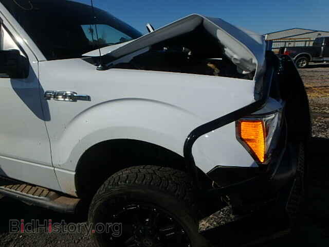 2013 FORD F150 - VIN: 1FTFX1EF2DFB16084 - Фото 9