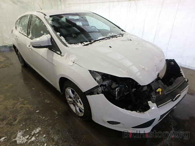 Photo 1FADP3K2XDL194138 - FORD FOCUS 2013