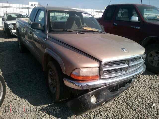 Фотография 1D7HL42X63S296877 - DODGE DAKOTA 2003