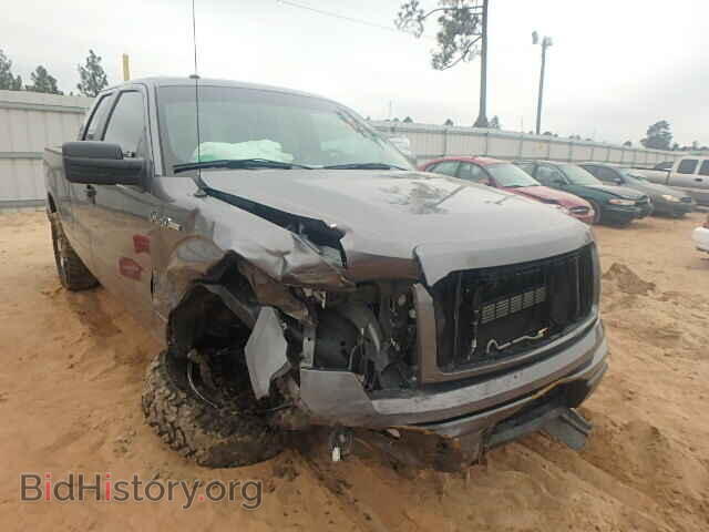 Фотография 1FTFX1CF0DFD74901 - FORD F150 2013