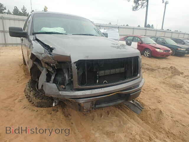 2013 FORD F150 - VIN: 1FTFX1CF0DFD74901 - Фото 10