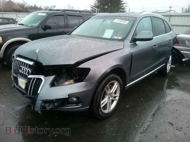 2013 AUDI Q5 - VIN: WA1LFAFP7DA018088 - Фото 2