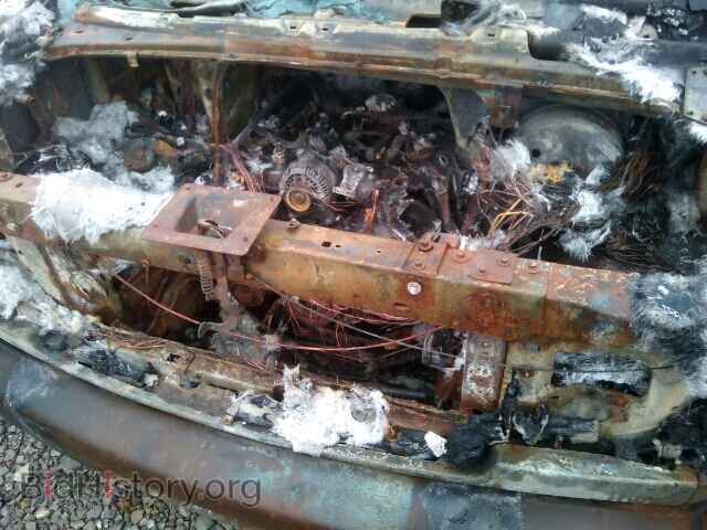 2007 FORD ECONOLINE - VIN: 1FTNE14WX7DA41718 - Фото 7