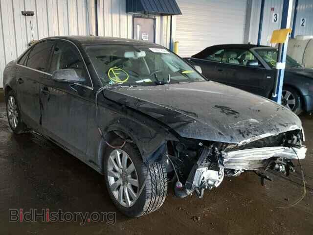 Фотография WAUFFAFL8BN041625 - AUDI A4 2011