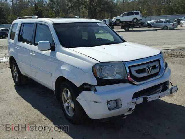 Фотография 5FNYF38619B015553 - HONDA PILOT 2009