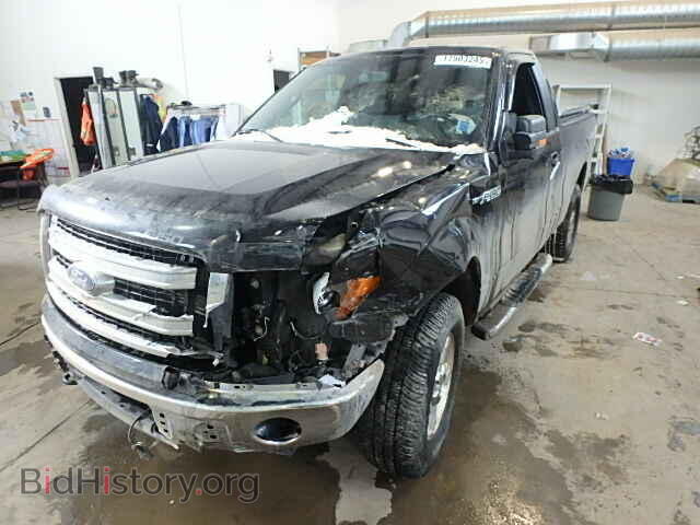 2013 FORD F150 - VIN: 1FTMF1EM2DFD13135 - Фото 2