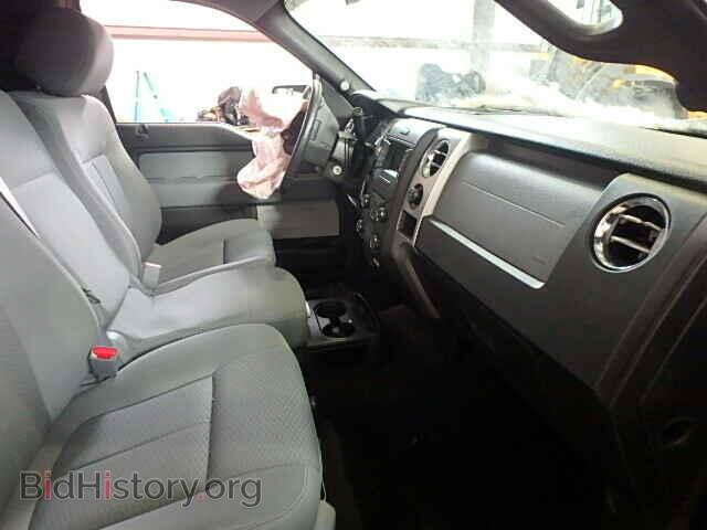 2013 FORD F150 - VIN: 1FTMF1EM2DFD13135 - Фото 5
