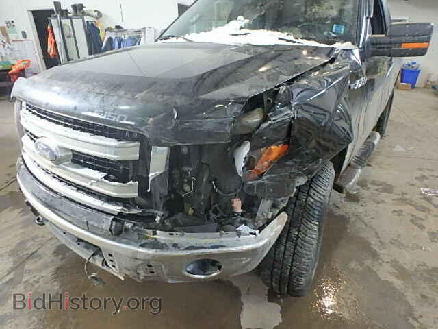 2013 FORD F150 - VIN: 1FTMF1EM2DFD13135 - Фото 9