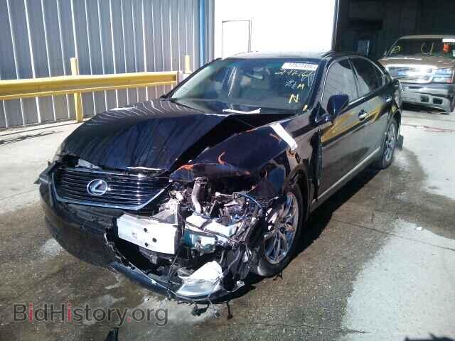 2008 LEXUS LS460 - VIN: JTHBL46FX85065258 - Фото 2