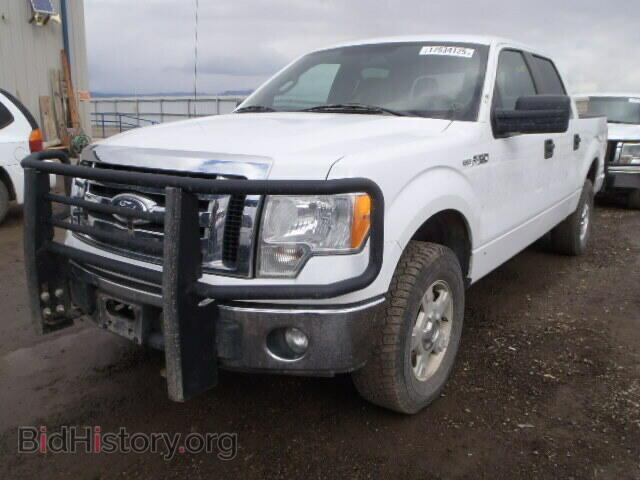 2011 FORD F150 - VIN: 1FTFW1EF2BFA27972 - Фото 2