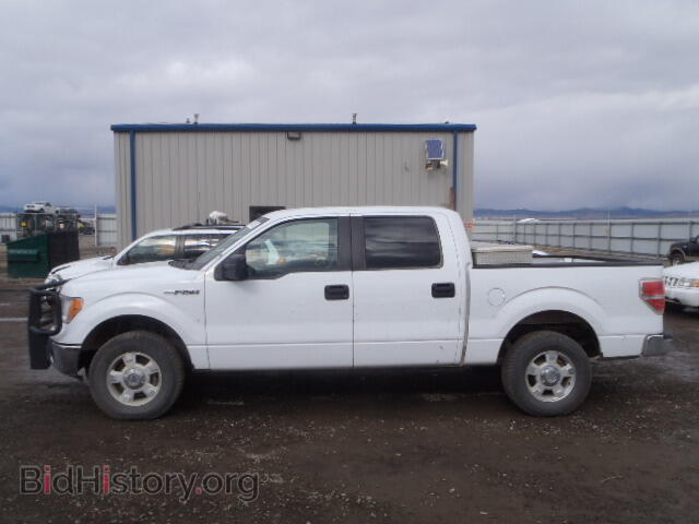 2011 FORD F150 - VIN: 1FTFW1EF2BFA27972 - Фото 10