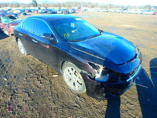 Фотография 1N4AA5AP7BC825891 - NISSAN MAXIMA 2011
