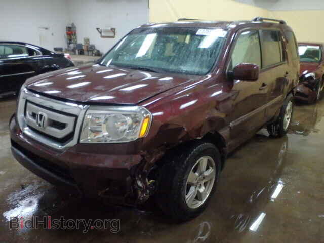 2011 HONDA PILOT - VIN: 5FNYF4H40BB019135 - Фото 2