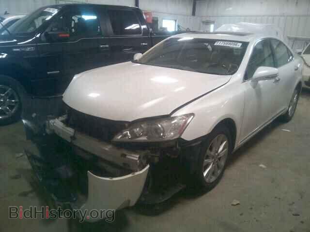 2010 LEXUS ES350 - VIN: JTHBK1EG6A2391982 - Фото 2