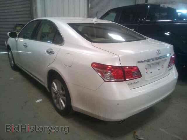 2010 LEXUS ES350 - VIN: JTHBK1EG6A2391982 - Фото 3