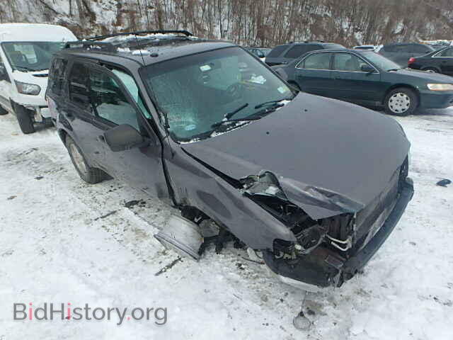 Photo 1FMCU9DGXBKA60187 - FORD ESCAPE 2011