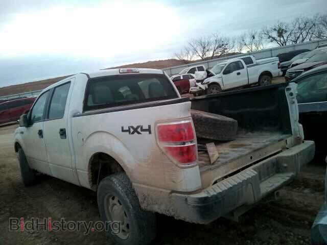 2013 FORD F150 - VIN: 1FTFW1EF1DKF06751 - Фото 3