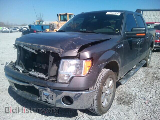 2013 FORD F150 - VIN: 1FTFW1CF7DFD44667 - Фото 2