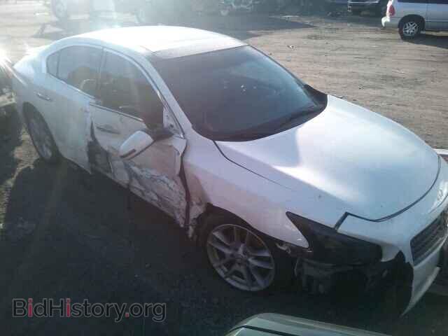 Фотография 1N4AA5AP1AC831443 - NISSAN MAXIMA 2010