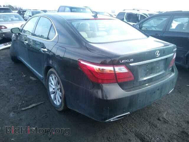 2010 LEXUS LS460 - VIN: JTHCL5EF6A5005348 - Фото 3