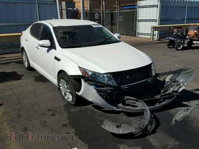 Фотография KNAGM4A74D5324824 - KIA OPTIMA 2013