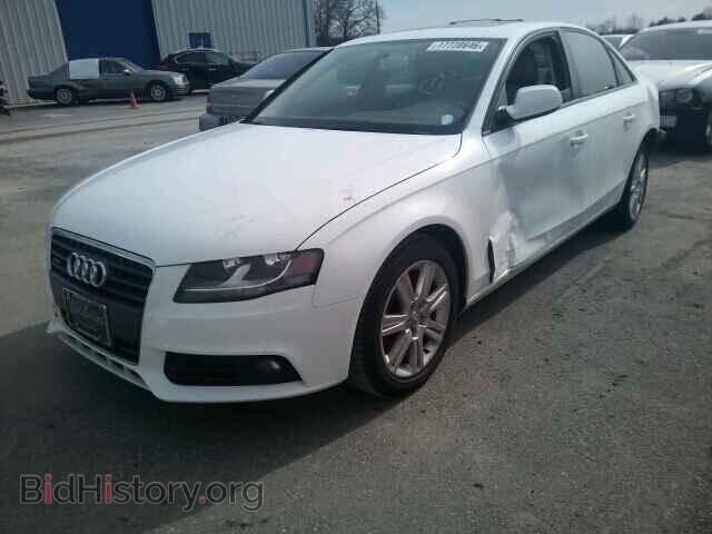 2010 AUDI A4 - VIN: WAUBFAFL2AN007595 - Фото 2