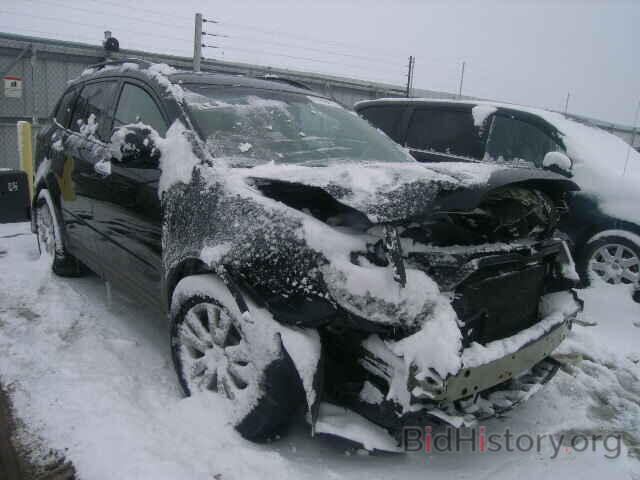 Photo 4S4WX92D394404616 - SUBARU TRIBECA 2009