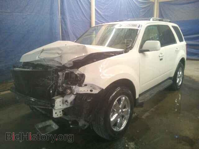 2011 FORD ESCAPE - VIN: 1FMCU9E79BKB50316 - Фото 2