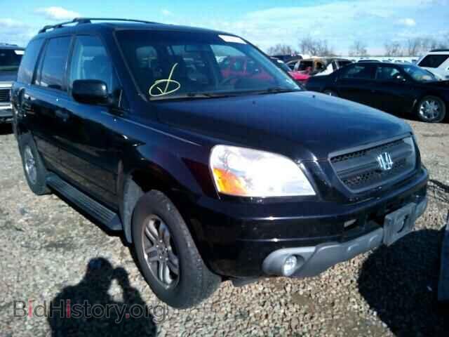 Фотография 5FNYF18695B004072 - HONDA PILOT 2005