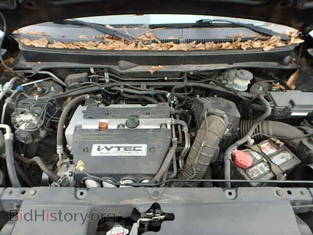2008 HONDA ELEMENT - VIN: 5J6YH18318L013960 - Фото 7