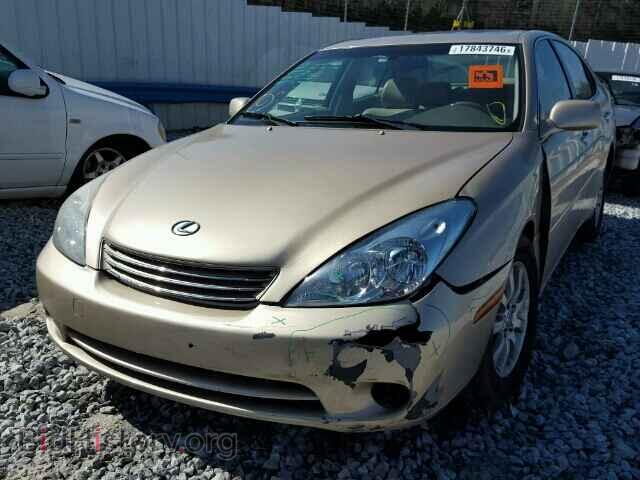 2003 LEXUS ES300 - VIN: JTHBF30G730114344 - Фото 2