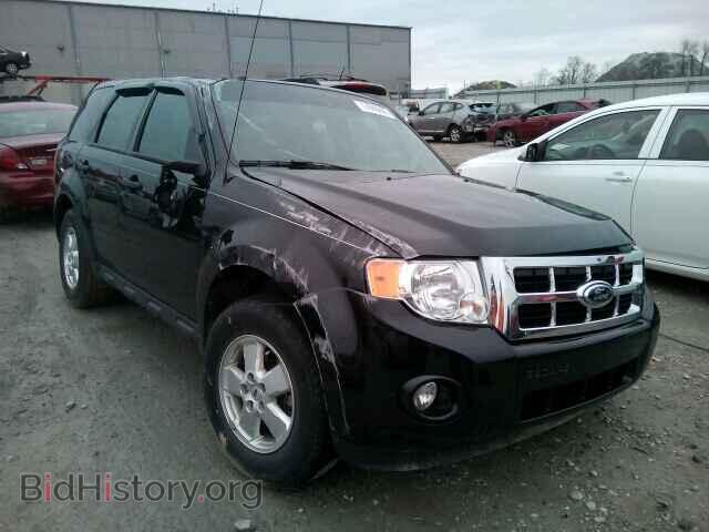 Photo 1FMCU0DG7BKB45175 - FORD ESCAPE 2011