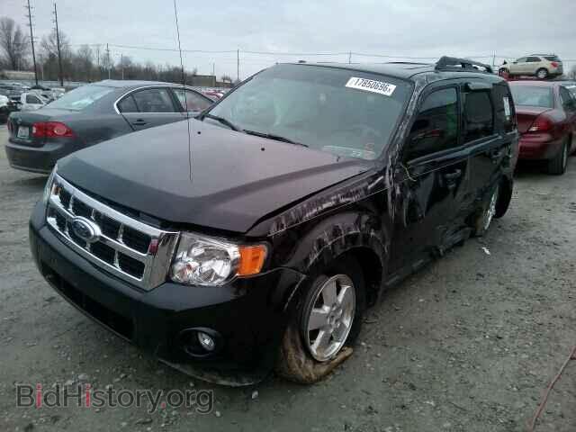 2011 FORD ESCAPE - VIN: 1FMCU0DG7BKB45175 - Фото 2