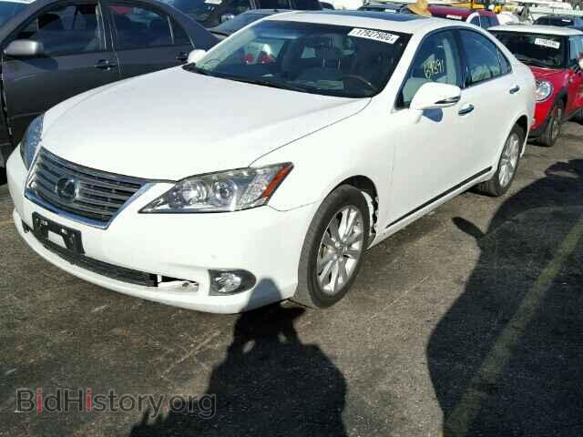 2011 LEXUS ES350 - VIN: JTHBK1EG5B2452787 - Фото 2