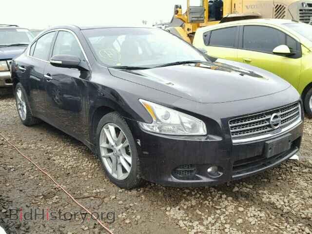 Фотография 1N4AA5AP4AC858362 - NISSAN MAXIMA 2010