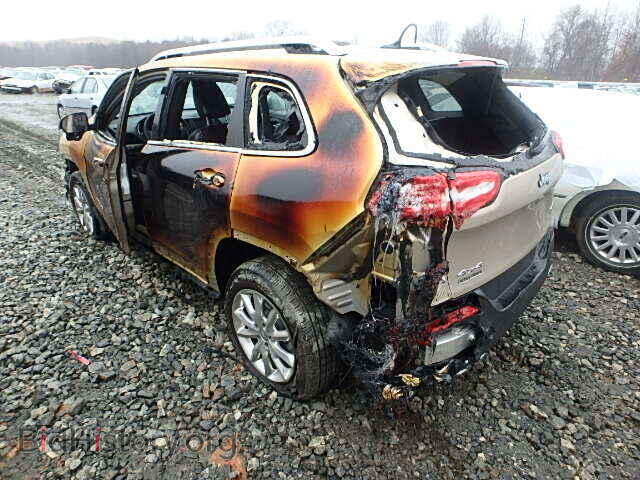 2014 JEEP CHEROKEE - VIN: 1C4PJMDS2EW277493 - Photo 3