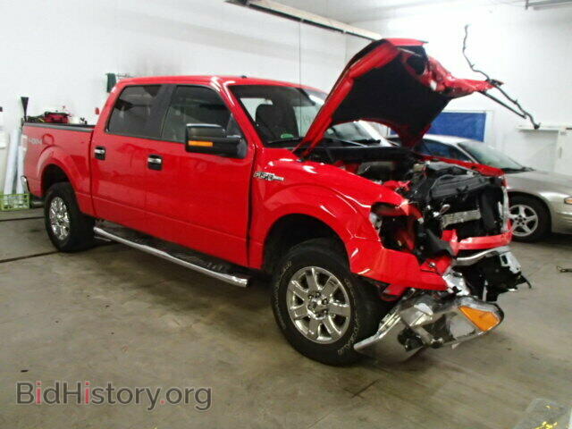 Фотография 1FTFW1EF8DFE00922 - FORD F150 2013