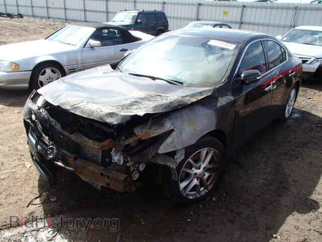 2011 NISSAN MAXIMA - VIN: 1N4AA5AP5BC855021 - Фото 2