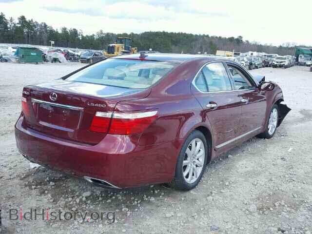 2008 LEXUS LS460 - VIN: JTHBL46F485059889 - Фото 4